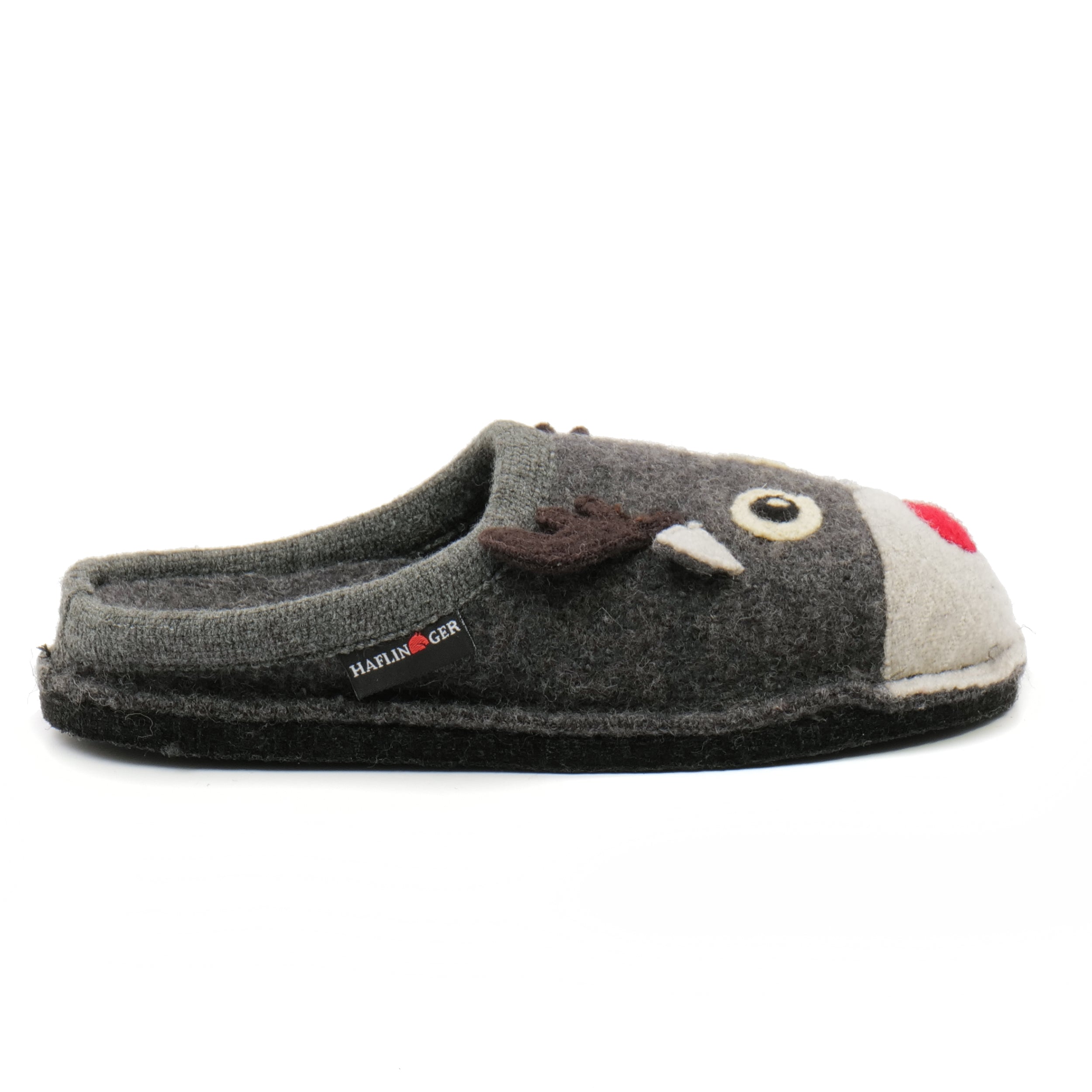 AI21---haflinger---RENNA31308904