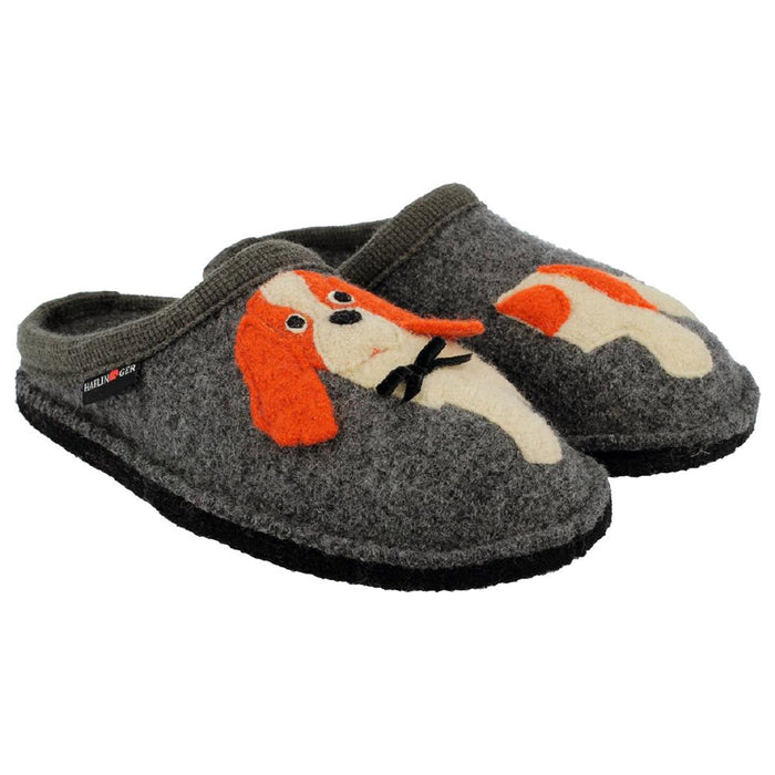 AI21---haflinger---SPANIEL31308504