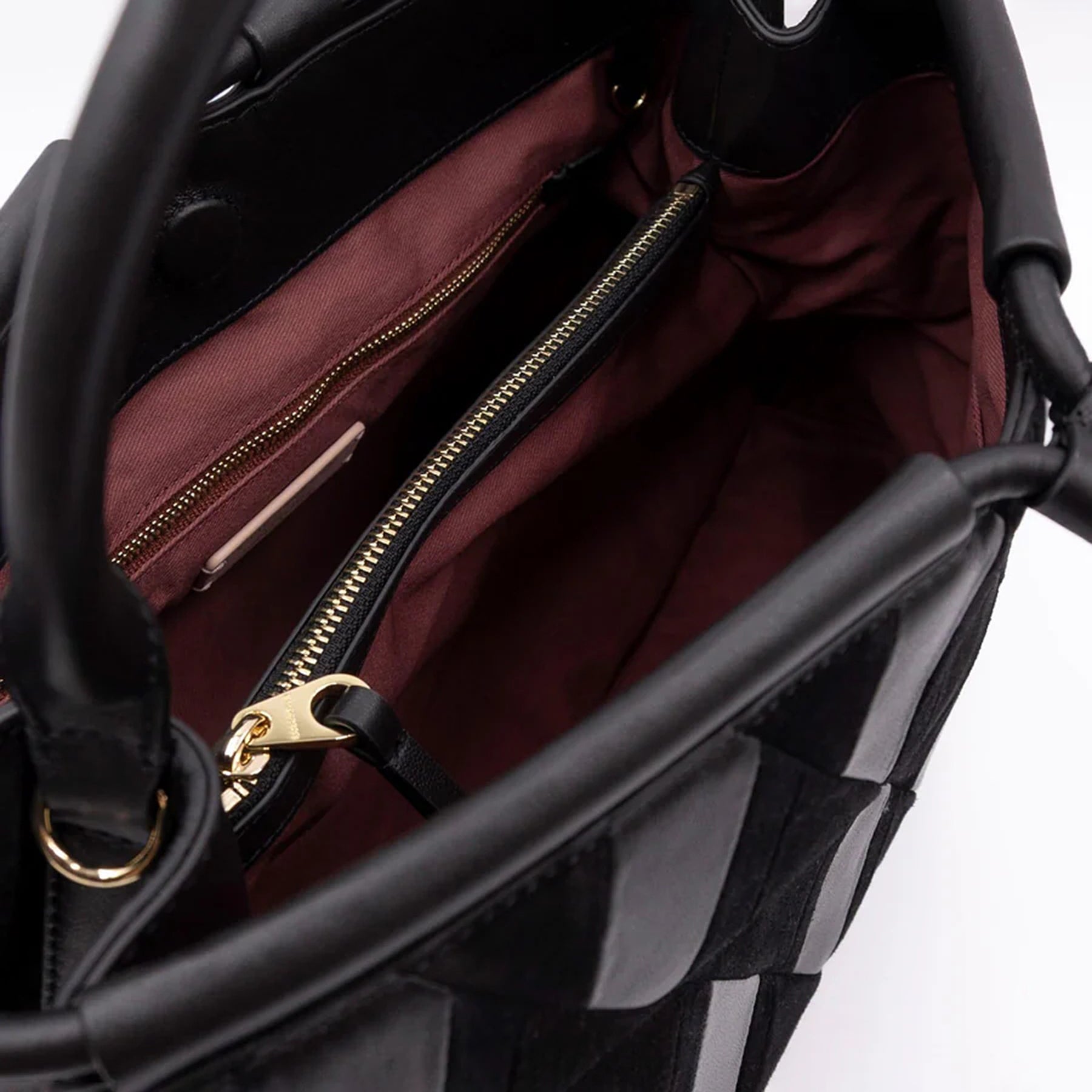 AI25---coccinelle---E1T1H180101001_3_P