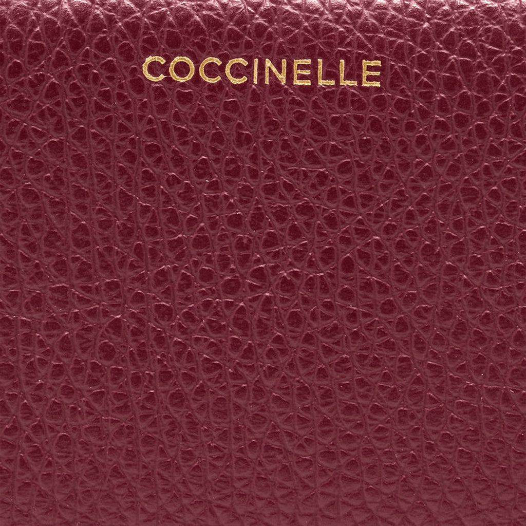 AI25---coccinelle---E2TBM11F301R52_2_P
