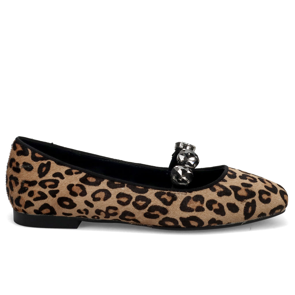 AI25---cristin---DIVA 1CAVALLINO LEOPARDATO