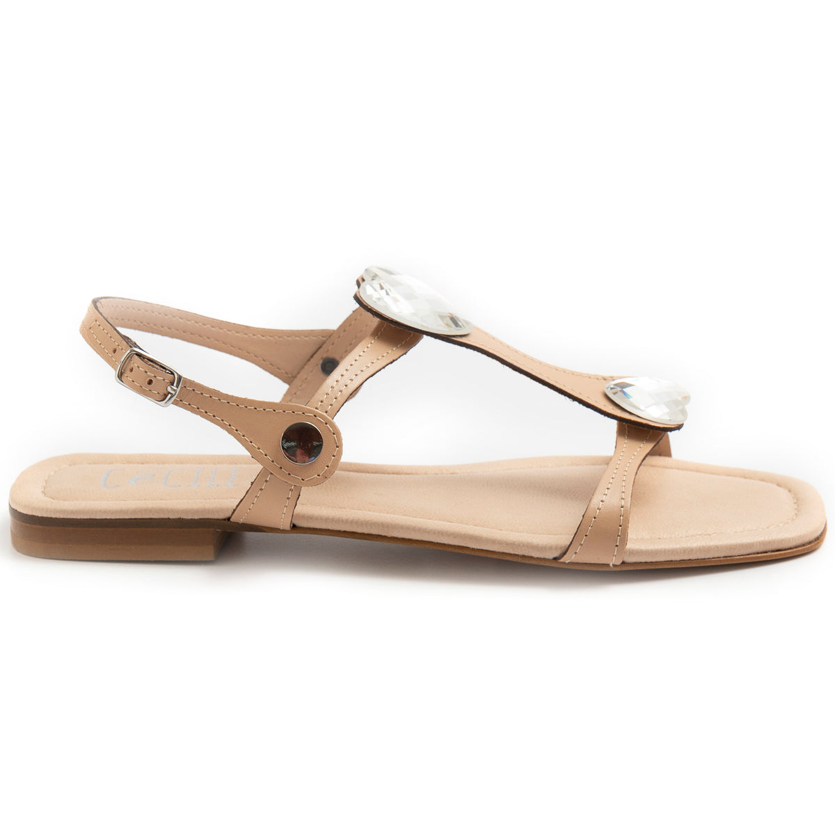 PE21---cecile---2495VACC PLUS 668