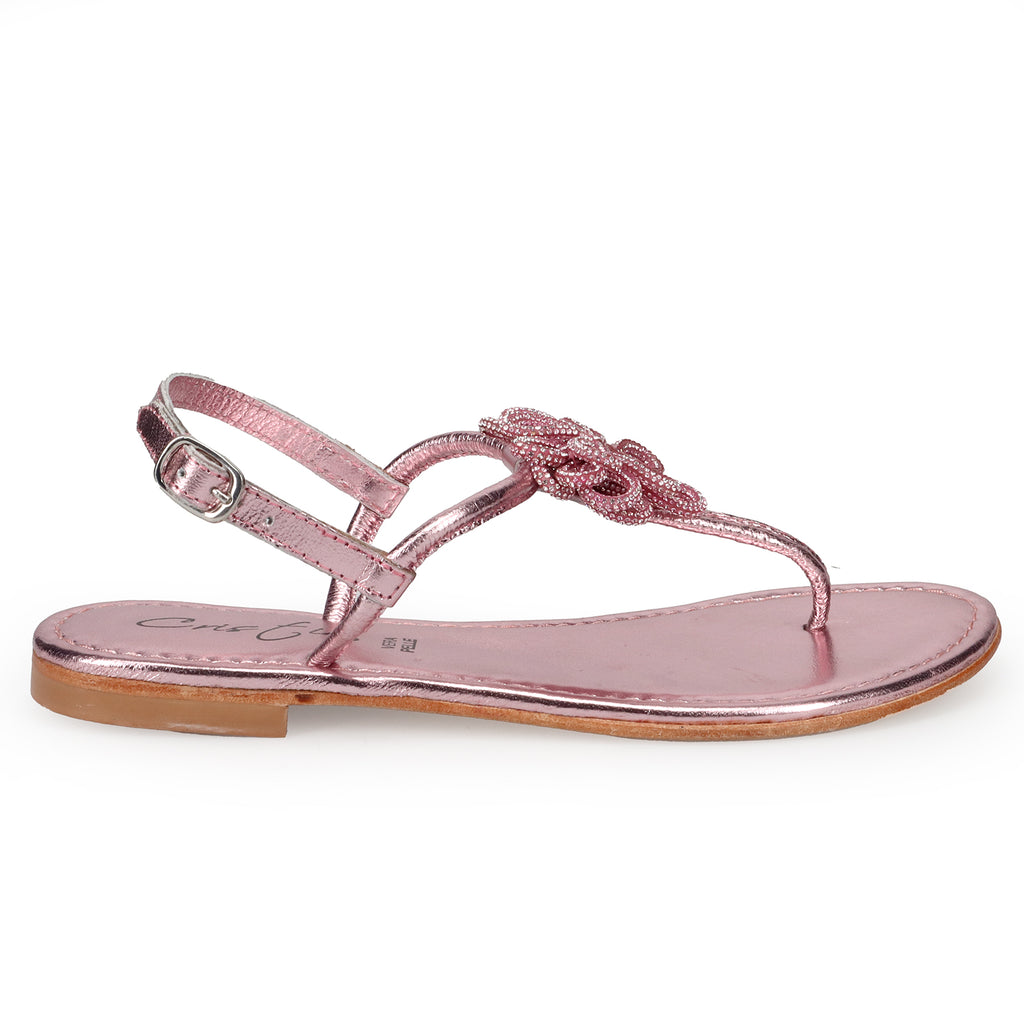 PE24---cristin---SOFIA 5LAMINATO ROSE
