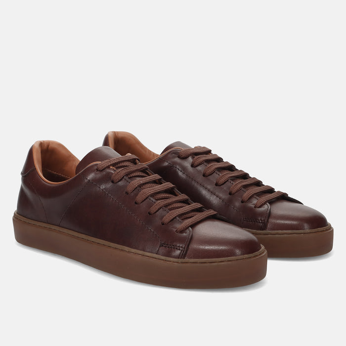 PE24---wexford---275 07POLO TAN_1_P