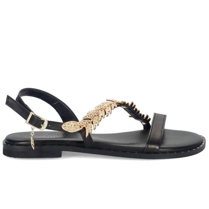 PE25---caryatis---622609BLACK GOLD