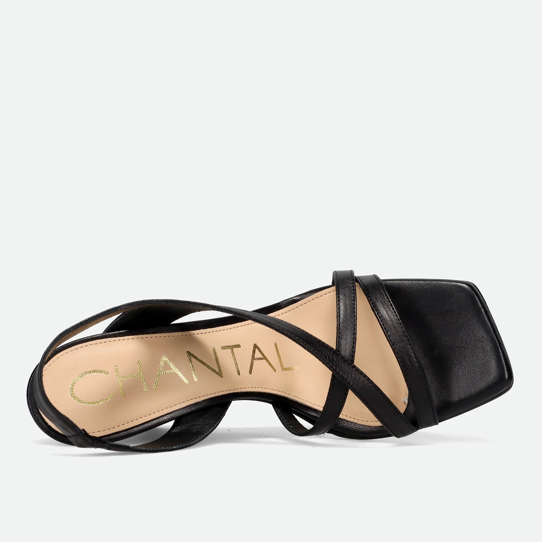 PE26---chantal---3158CAPROTTO NERO_8_P